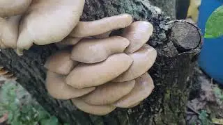 Wisconsin, конец рабочей недели.  Слава Господу!