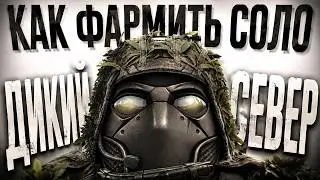 ГАЙД КАК ФАРМИТЬ ДИКИЙ СЕВЕР СОЛО | ГАЙД ДЛЯ НОВЧИКОВ | STALZONE | STALCRAFT:X