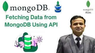 Fetching Data from MongoDB Using API: A Step-by-Step Guide