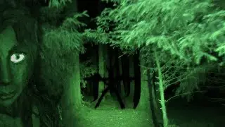 THIS FOREST IS SO HAUNTED EVEN THE GHOSTS ARE AFRAID