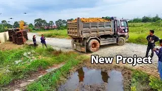 Started New Project, Processing Filling Up The Land huge, Bulldozer KOMATSU D31P, Dump Truck