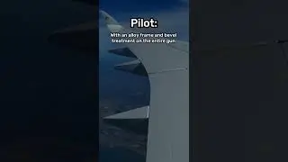 Pilots Carry Guns On board Plane 😱 #aviation #avgeek #plane #planes