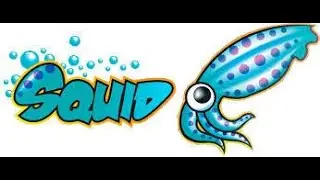 pfsense proxy squid(demo)