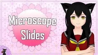 Looking at Microscope Slides【AmScope Microscope Slides】