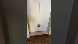 Как открыть кокос лифтом