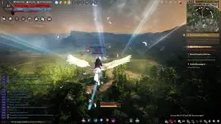 BDO Dream Horse