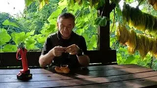 Неудачная сигара...