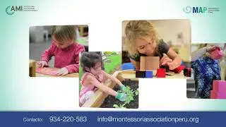 Spot _ Redes sociales_ Montessori Association Perú (MAP)