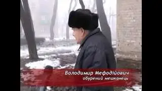 Нашествие бродячих собак в Красном Луче.