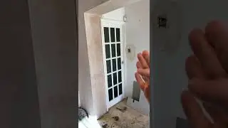 Kitchen Renovation Update in Edgware, London