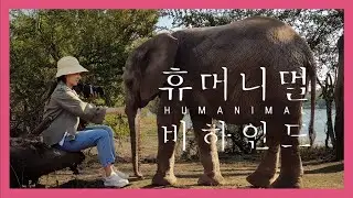 [박신혜] ‘휴머니멀’을 향한 여정