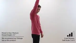 Custom INDEPENDENT TRADING CO  SPECIAL BLEND CREWNECK SWEATSHIRT Style PRM30SBC 360° Product Video b