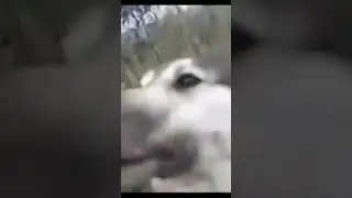 эк вспомним старое 
