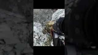 Напугал!!! И умер!!!!