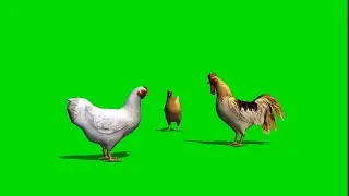 chick green screen.caroon maker for kids 