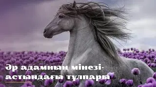 #нақылсөздер Даналық сөздер