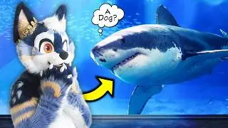 I Went to the Largest Aquarium in FURSUIT