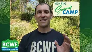 BCWF Updates from Jesse Zeman - July 18th, 2024