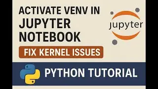 Activate venv in Jupyter Notebook | Fix Kernel Issues | Python Tutorial