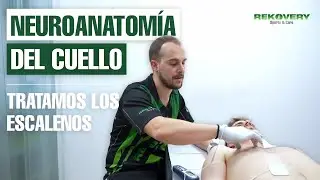 🤩 Mejora tu DOLOR DE CUELLO con la Neuromodulación 👇🏼