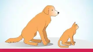 Как наносить Стронгхолд