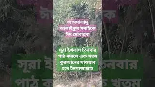 সুরা ইখলাস#shorts#short#shortsfeed