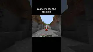 Minecraft Meme