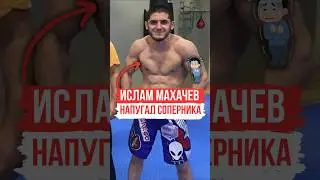 ИСЛАМ МАХАЧЕВ - НАПУГАЛ СОПЕРНИКА РАЗМЕРОМ ❓️ | 