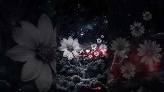 k.p love name WhatsApp status