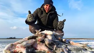 НАШЛИ РЫБУ КАМЕРОЙ FocusFish  И ТУТ НАЧАЛОСЬ! рыбалка первый лед 2022 2023