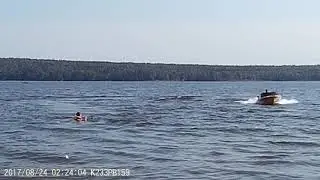 Сылва