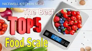 Top 5 🏆 Best New Food Scales Hot 💖 Satisfy All Your Measuring Needs 💋