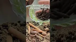 पंजाबी गर्म मसाला बनाएं घर पर / Punjabi Garam masala recipe #garammasalarecipe #ytshorts #viral
