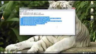 RUN MORE THAN ONE GOOGLE DRIVE ON WINDOWS