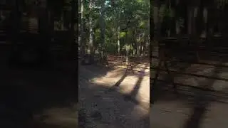 SCARS w/ Ivan B