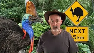 Tick This One Off The Bucket List - Gap Year Ep 14