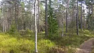 Schweden-Södermanland April 2015 Samsung Galaxy 5 Video