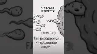 28 апреля 2023 г.