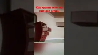 Как храпит муж по мнению жены, прикол