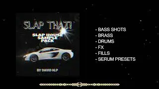 [Free Download] Slap House Sample Pack 2023 (Royalty Free)