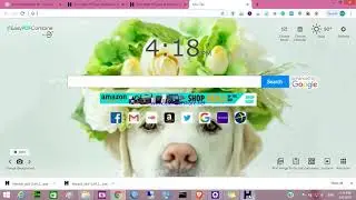 How to download the whole website and see offline on your PC