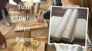 Trip to Egypt Part 1: 