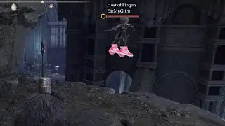 [ELDEN RING] Lord Has HEELYs