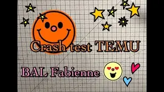 BAL refuge Fabienne 🥰 Unboxing TEMU Scrap et test top ou pas top??😁