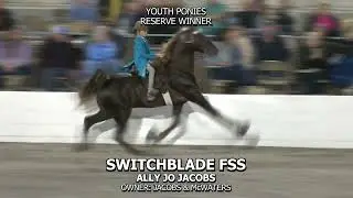 SWITCHBLADE FSS - 2023 FUN SHOW