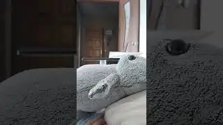АААЫЫЫ😰#басики
