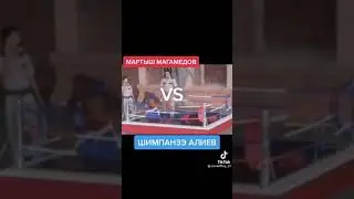 шимпанзе