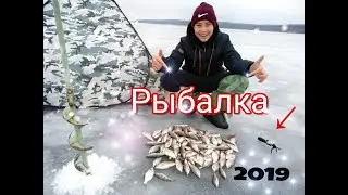 БЕШЕНЫЙ КЛЁВ ПЛОТВЫ.ЕЁ ТУТ КУЧА.РЫБАЛКА 2019