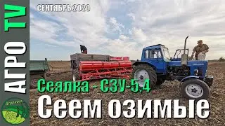 Сев озимой пшеницы 2020 год