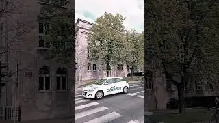 академия боболанум